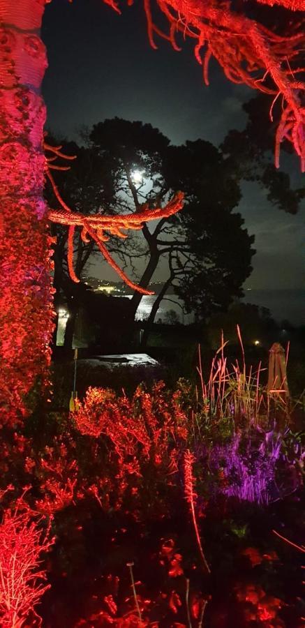 Norwegian Wood Hotel เพนตัน ภายนอก รูปภาพ